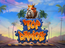 Top Dawings Slot Free